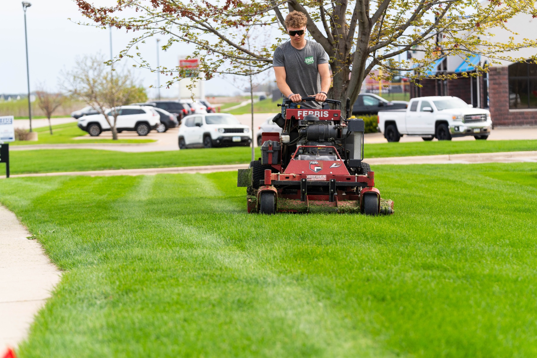Lawn Care Company